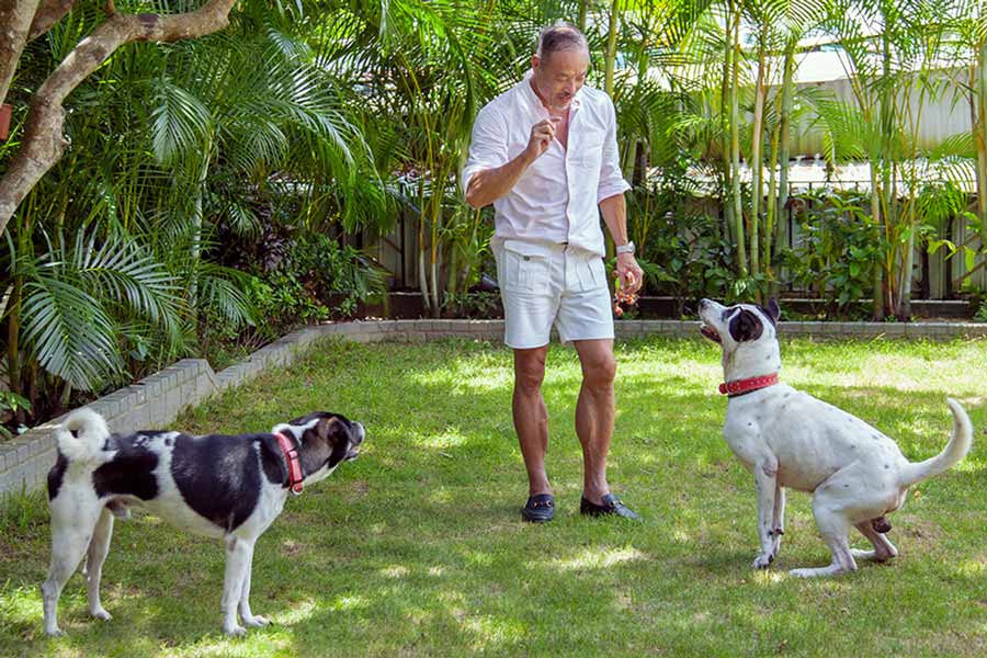 Nelson Chan's Perfect Weekend