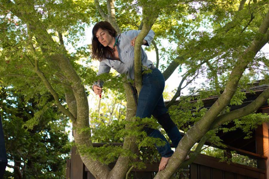 Planting Pleasures with Leslie Buck